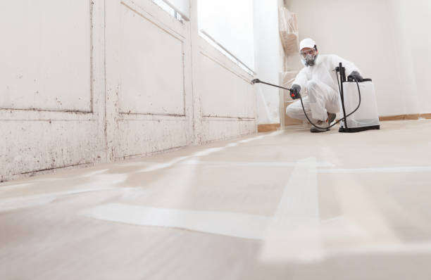 24/7 Emergency Mold Remediation experts in Courtland, VA